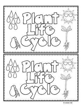 plant life cycle coloring page